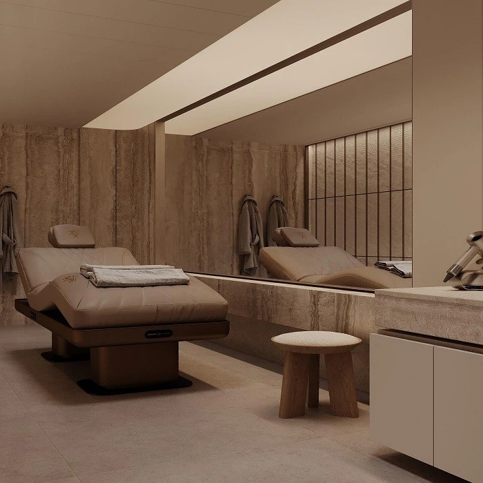 Veneer WPC Interior Wall Panel suppliers